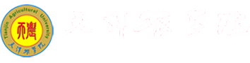 2026年国际足联世界杯